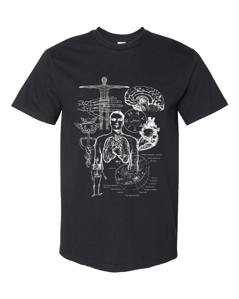 Anatomy Tee